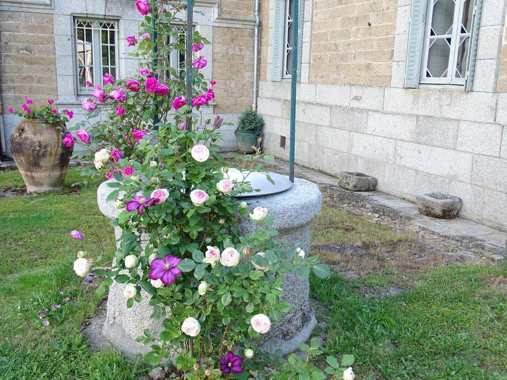 Chateau De Crocq - Chambres D'Hotes De Charme Εξωτερικό φωτογραφία